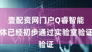 壹配资网门户Q睿智能体已经初步通过实验室验证