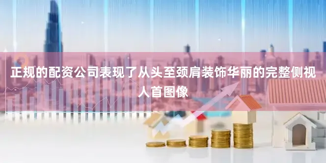 正规的配资公司表现了从头至颈肩装饰华丽的完整侧视人首图像