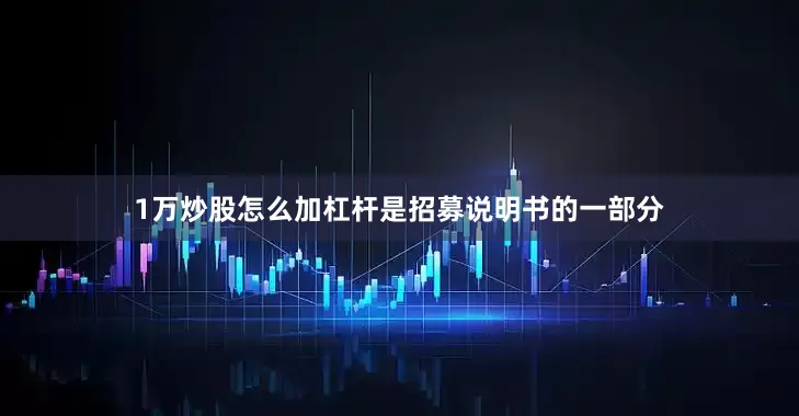 1万炒股怎么加杠杆是招募说明书的一部分