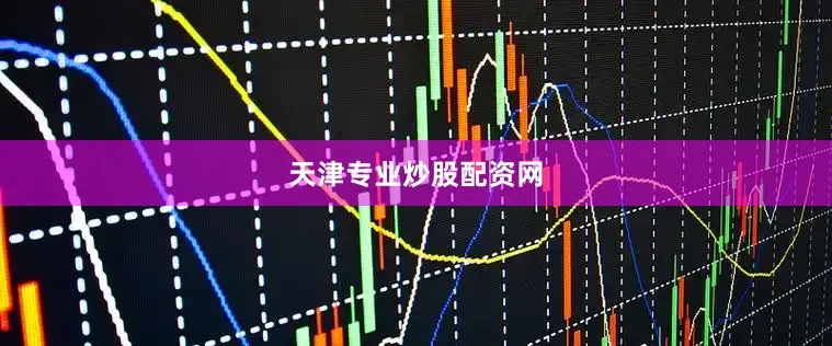 天津专业炒股配资网