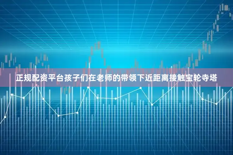 正规配资平台孩子们在老师的带领下近距离接触宝轮寺塔